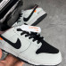 Кроссовки NIKE SB белые с  черным NIK-155